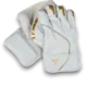 Keeping Gloves