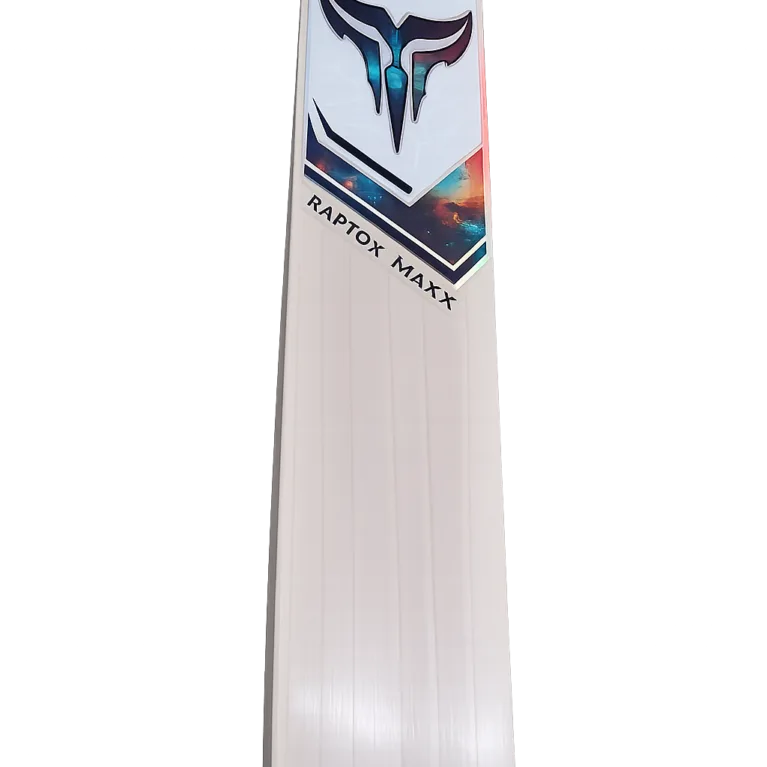 Raptor Maxx Cricket Bat